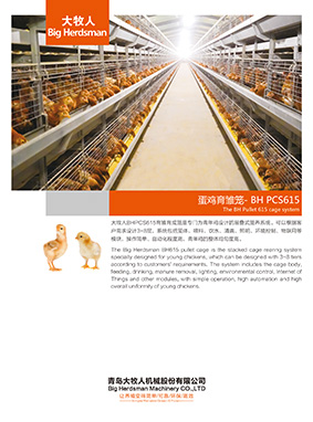The Pullet cage system