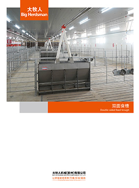 Double-sided feed trough