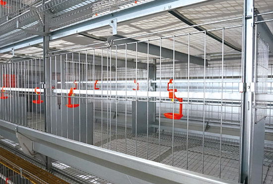 BH1250 layer breeder cage