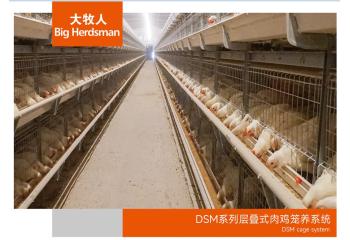 DSM系列层叠式肉鸡笼养系统