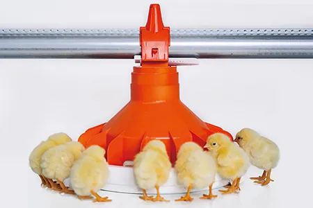 Poultry farming solution
