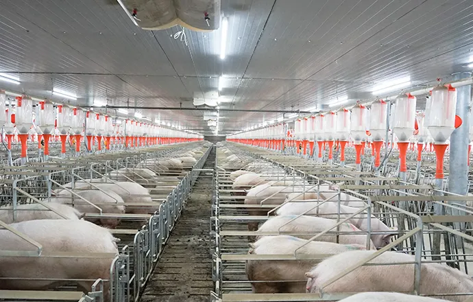 Sistema de alimentación Big Herdsman