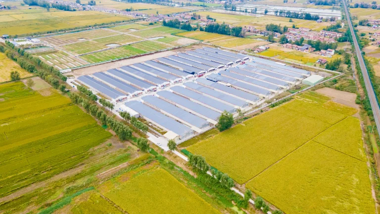 Jiangsu Zhi'en