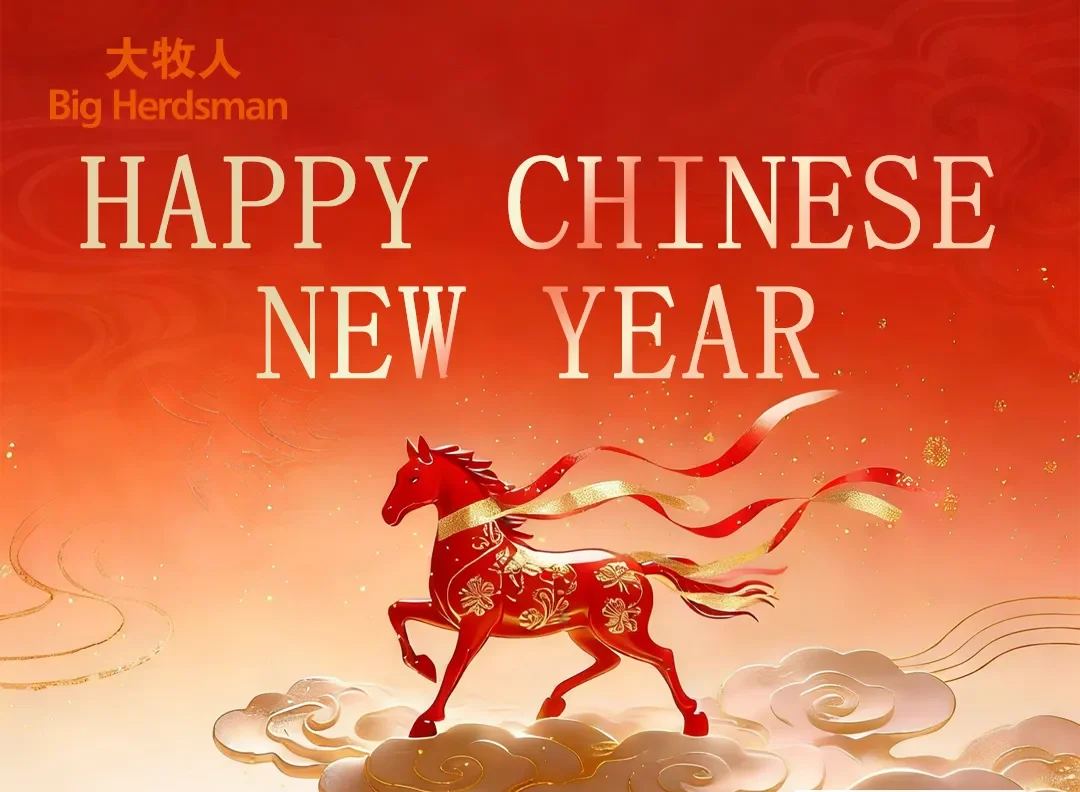 newyear