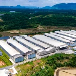 Automation Trends in Modern Poultry Farming