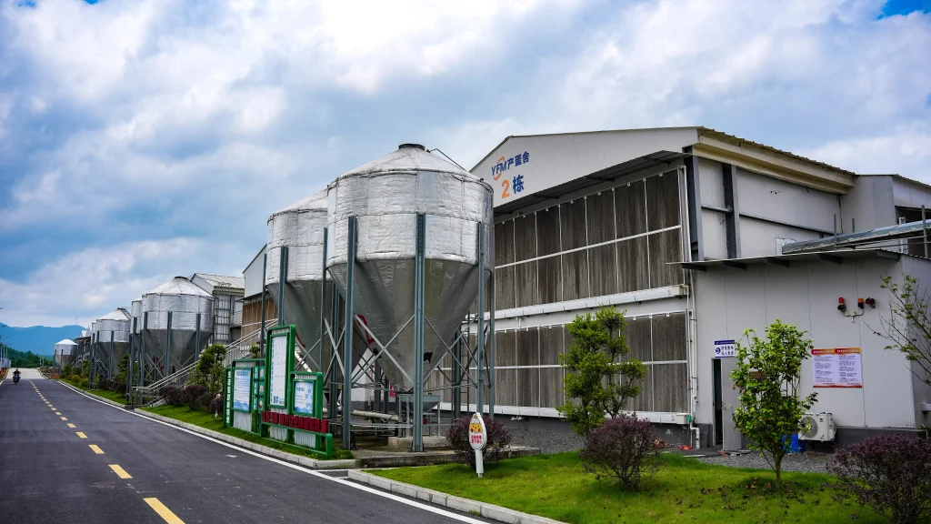 Choosing Poultry Equipment for Commercial Farms